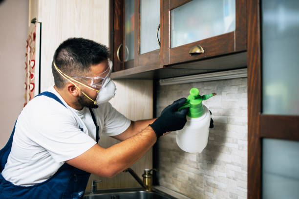 Best Emergency Pest Control  in Third Lake, IL