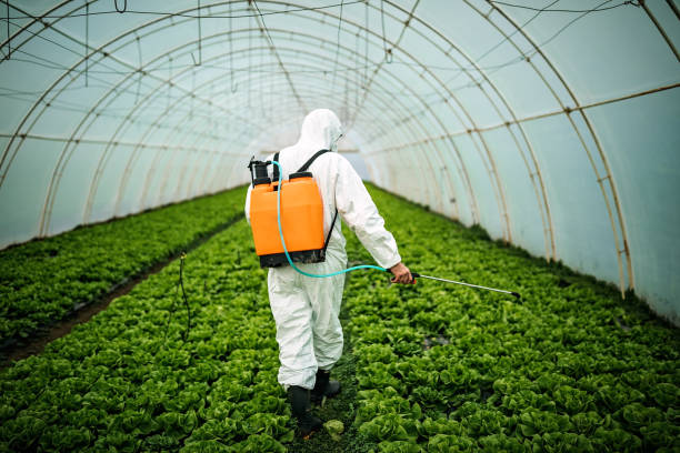 Best Best Pest Control Companies  in Third Lake, IL