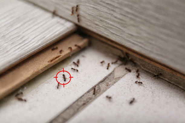 Best Commercial Pest Control Services  in Third Lake, IL