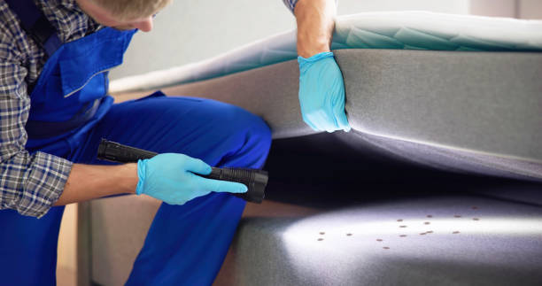 Best Flea Control Services  in Third Lake, IL