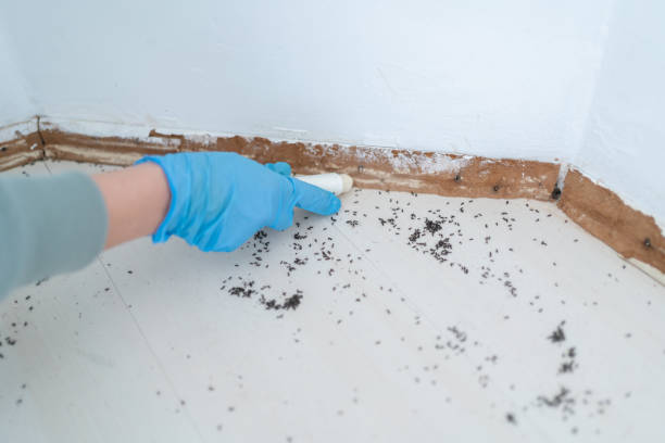 Best Pest Control for Businesses  in Third Lake, IL