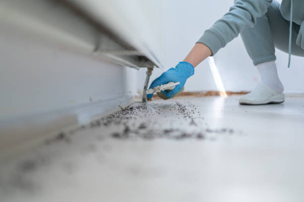 Best Bed Bug Extermination  in Third Lake, IL