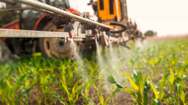 Best Best Pest Control Companies  in Third Lake, IL